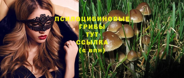 соль курить ск Вяземский